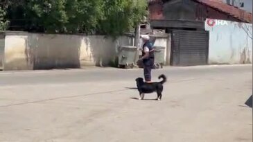 Bursa'da yürek burkan hikaye! Sahibinin ölümünü unutmadı, yeni dostunu hiç bırakmadı