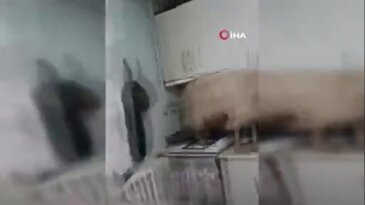 Bursa'daki bu evde durumlar nasıl bu hale geldi?