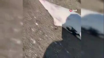 Bursa'da görenlerin içini sızlatan olay! Ölü şekilde kıyıya vurdular