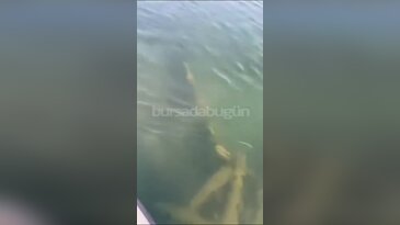 Bursa'da suların altında inanılmaz keşif! Yıllardır aranan sır gün yüzüne çıktı!