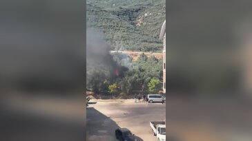 Bursa'da zeytinlikte yangın paniği! Alevler büyümeden söndürüldü
