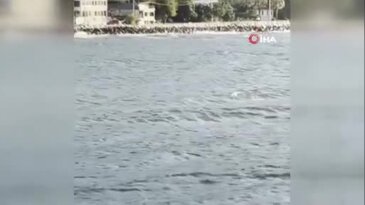 Bursa'da görsel şölen!