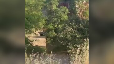 Bursa'da orman yangını son anda önlendi!