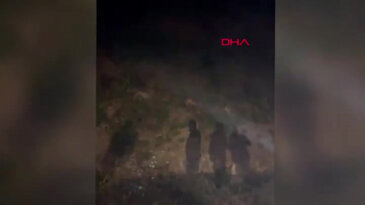 Bursa'da gece yolculuğunda karşılarına çıktı! Etle beslediler...