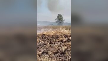 Bursa'da yangın! Alevler hızla yayıldı, havadan karadan müdahale başladı