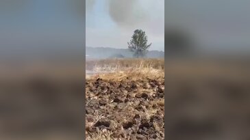 Bursa'da yangın! Alevler hızla yayıldı, havadan karadan müdahale başladı