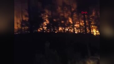 Bursa'nın yanı başındaki yangın kontrol altına alınamadı! Müdahale sürüyor...