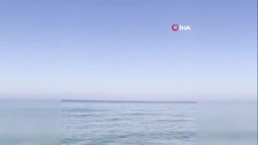 Bursa'da eşsiz anlar! Yunus sürüsü kıyıya böyle yaklaştı