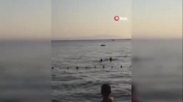 Bursa sahilinde sevimli misafirler! Yunuslar böyle görüntülendi...