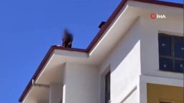Gaziantep'te maaş krizi: 15 aydır alacaklarını alamayan işçi çatıya çıktı