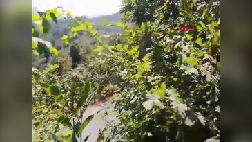 Elektrik dağıtım şirketine ait helikopter düştü!