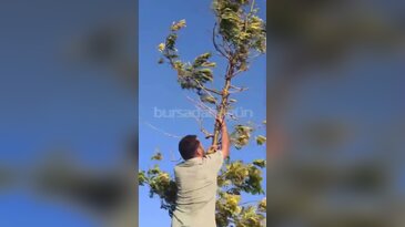 Bursa'da kahkaha dolu operasyon! Vatandaş peşine düştü...