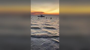İznik Gölü'nde "boğuluyor" ihbarı paniğe neden oldu! Gerçek kısa sürede ortaya çıktı..