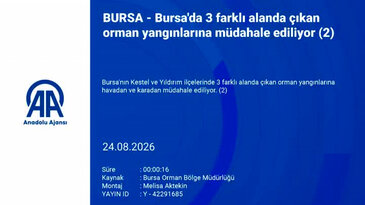 Bursa'da korkutan yangınlardan haber var!