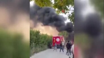 Bursa'da yine aynı korku! Mahalle sakinleri isyan etti