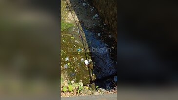 Bursa'da dere çöplerle doldu: Kötü koku tepkisi