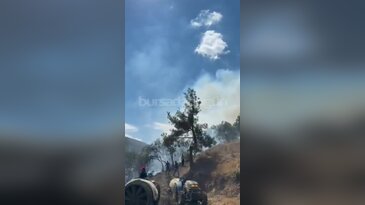 Bursa'da yerleşim yerinin dibinde orman yangını! Alevler dağa doğru yayılıyor...