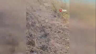 Bursa'da yerleşim yerinin dibinde orman yangını! Alevler dağa doğru yayılıyor...