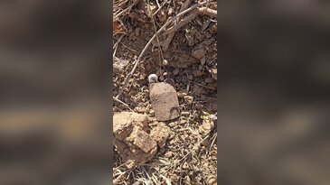 Bursa'da Kurtuluş Savaşı'ndan kalma el bombaları bulundu!