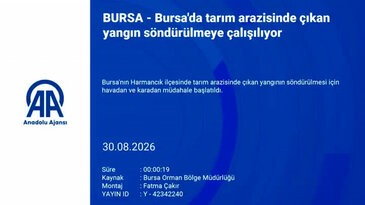 Bursa'da bir yangın daha! Müdahale sürüyor...