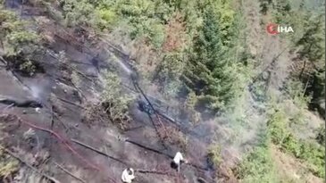 Ağaç keserken faciayı yaşadı: Elektrik akımına kapılarak can verdi...