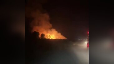 İznik Gölü kıyısında gece saatlerinde alevler yükseldi!