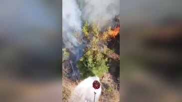 Bursa'da korkutan yangın! Ekipler alarma geçti