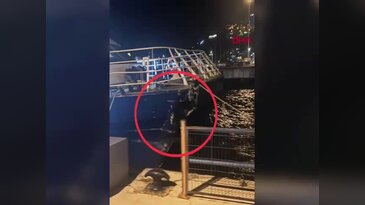 Bursa'da deniz otobüsü iskeleye çarptı: Yolcular büyük panik yaşadı!