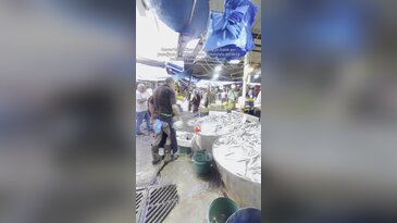 Bursa'da balık tezgahları yeniden doldu! En tercih edilen...