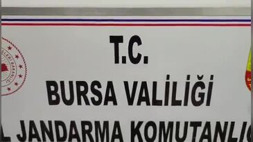 Bursa'da Kaçak Tütün Operasyonu! 3,2 Milyon TL'lik Ürün Ele Geçirildi...