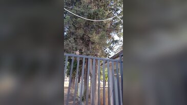Yıkımı Bursalıları üzen köklü okulla ilgili kritik gelişme! İhalesi bitti, inşaat başlıyor