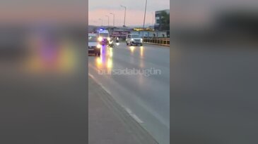 Bursa'da yürekleri burkan an! Yavru kediye araç çarptı, veteriner çift trafiği durdurup kurtardı