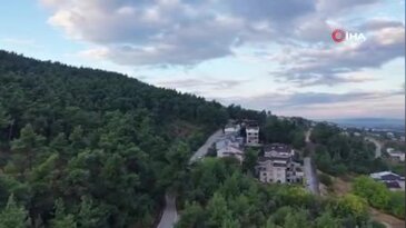Mahallede 'Ayı' korkusu