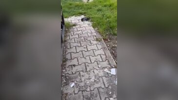 Parkları çocuklara bırakın! Bursa'da tepki çeken görüntüler