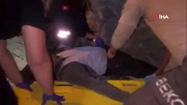 Bursa'da köpek korkusu kabusa döndü! Başını zemine vurdu