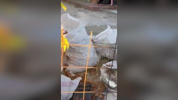 Bursa'da mahalleliden temizlik talebi! "Uzun süredir duruyorlar"