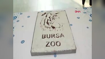 Türkiye'de bir tane var, o da Bursa'da! Gidip görebilirsiniz...