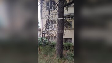 1934'ten günümüze: Bursa'daki tarihi köşk satışa çıktı! Fiyatı dudak uçuklattı...