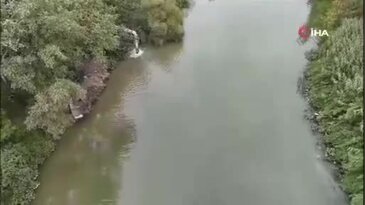Bursa'da her yıl olduğu gibi bu yılda toplu balık ölümü oldu!