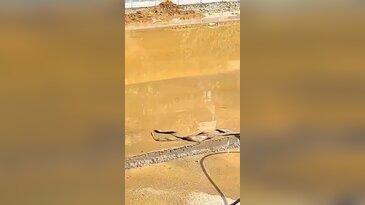 Bursa sahilinde tepki çeken görüntü! "Tüm pislik denize akıyor"