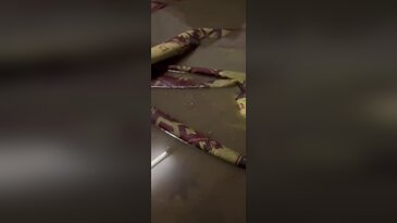 Bursa'yı yağış vurdu: Evleri su bastı!