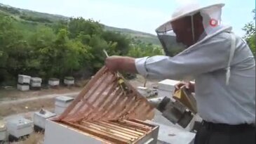 Bursa'da 75 yaşındaki emekli başgardiyanın şaşırtan sırrı! 50 yıldır bunu yapıyor