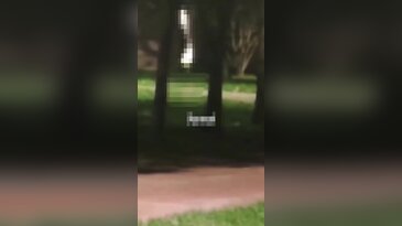Parkta mide bulandıran görüntü: "Artık ailemizle bile çıkamaz olduk"