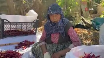 90 Yaşında Her Gün 11 Saat Çalışıyor! Bursa'da Yürek Sızlatan Görüntü