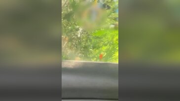 Beddua ederek kaydetti! İstanbul'un göbeğinde infial yaratan görüntü