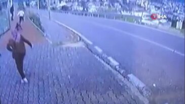 Bursa'da köpek dehşeti! 11 yaşındaki çocuk hastanelik oldu