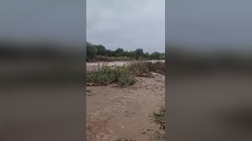 Bursa'da dere taştı, tarım arazileri tehlikede!