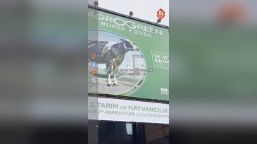 Bursa'da tarım ve hayvancılık fuarı başladı! Çiftçiler ve firmalar Bursada Bugün'e konuştu