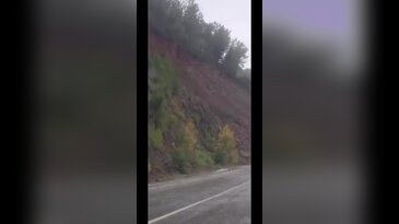 Gemlik - Armutlu yolunda heyelan! Çam ağaçları yola doğru kaydı