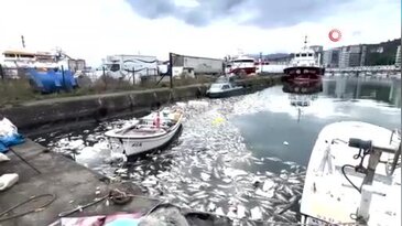 Bolluğu çileye döndü: Ağır koku vatandaşları canından bezdirdi!